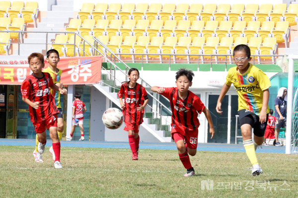 2023 화랑대기 전국 유소년축구대회